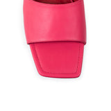 Friday Unleashed Coral